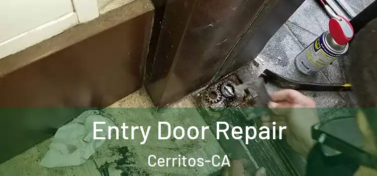  Entry Door Repair Cerritos-CA
