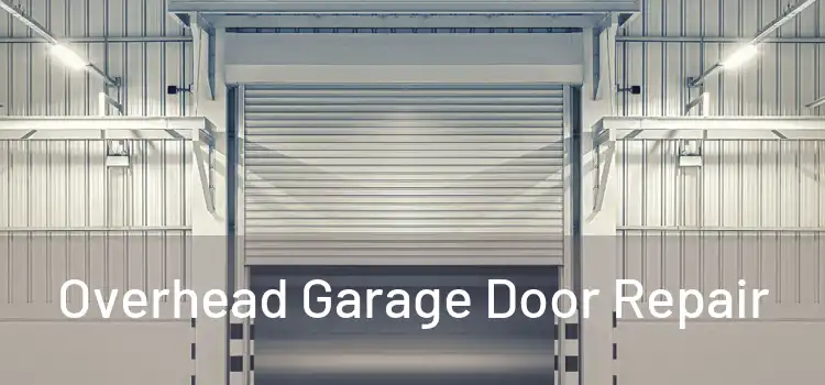  Overhead Garage Door Repair 